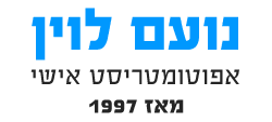 נועם לוין
